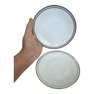 2 Vintage Rosenthal Continental Gala Grey Platinum Trim 6-inch Plates 4042